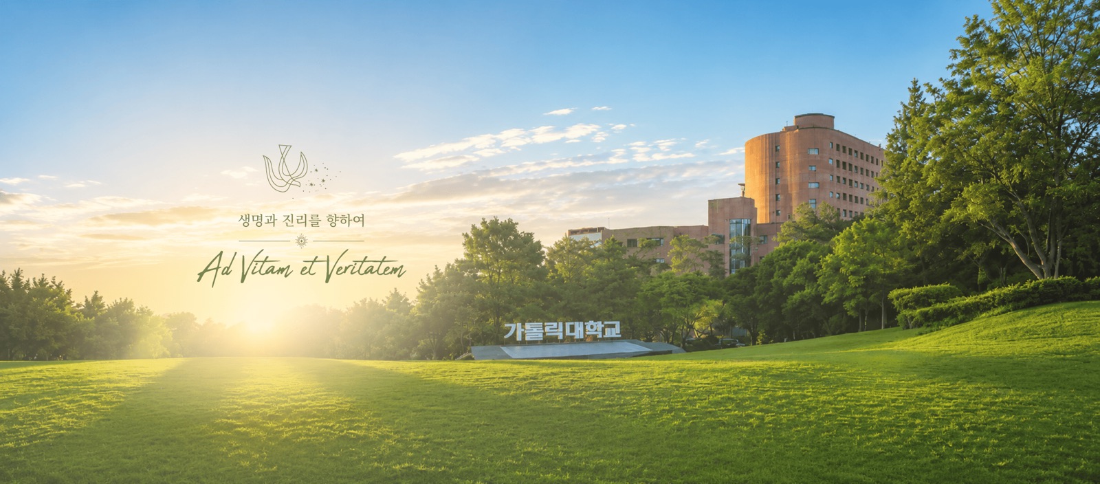 韩国加图立大学